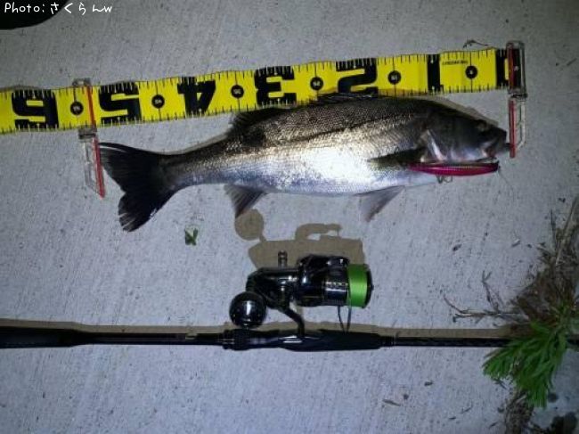 �����Х�