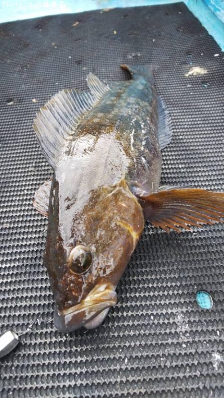 �����ʥ�