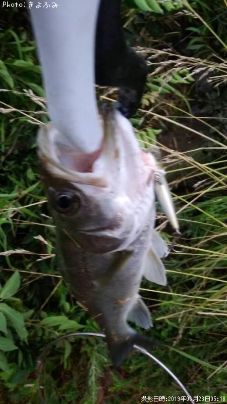 �����Х�