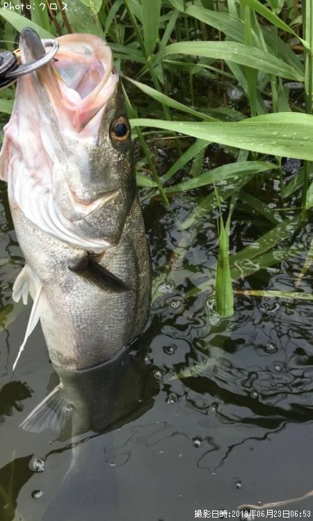 �����Х�