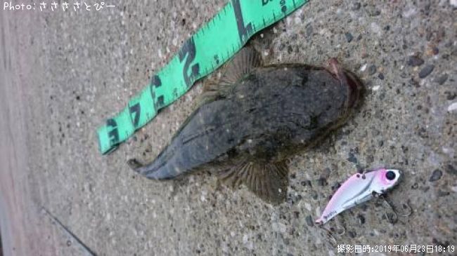 �ޥ������勵�ꥬ��