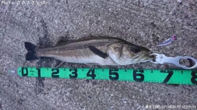 �����Х�