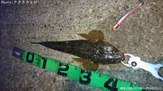 �ޥ������勵�ꥬ��