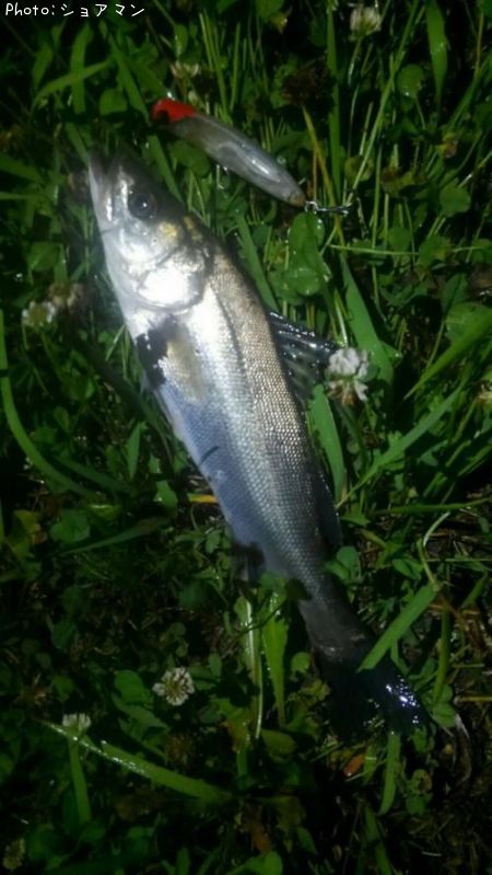 �����Х�