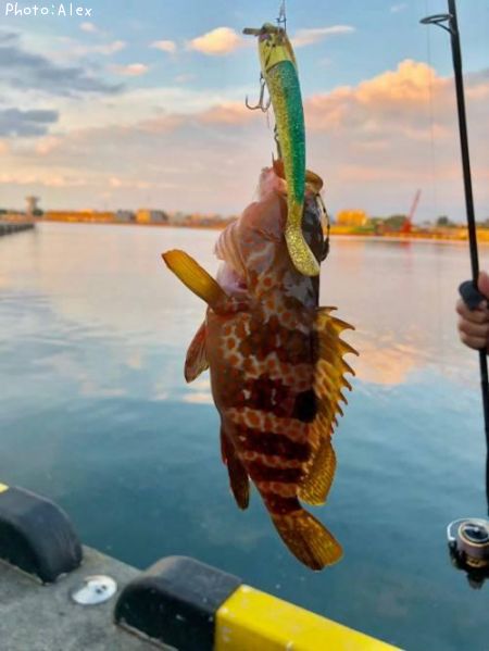 �����ϥ�