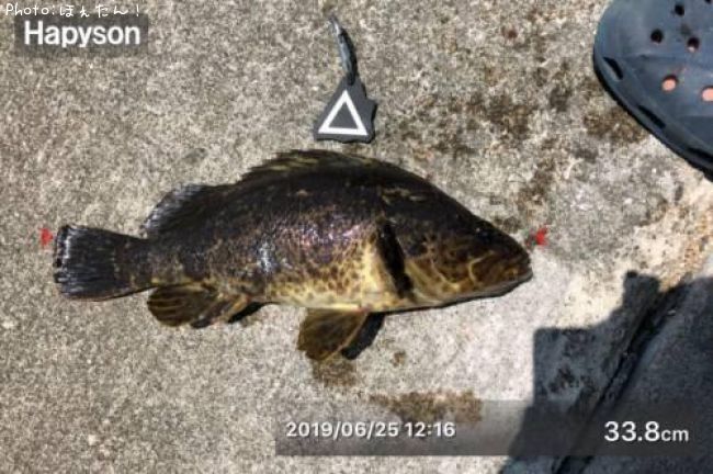 �٥å�������