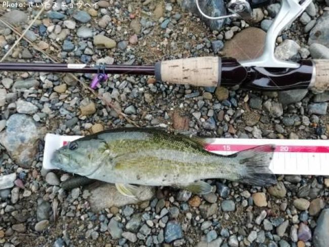 �֥�å��Х�