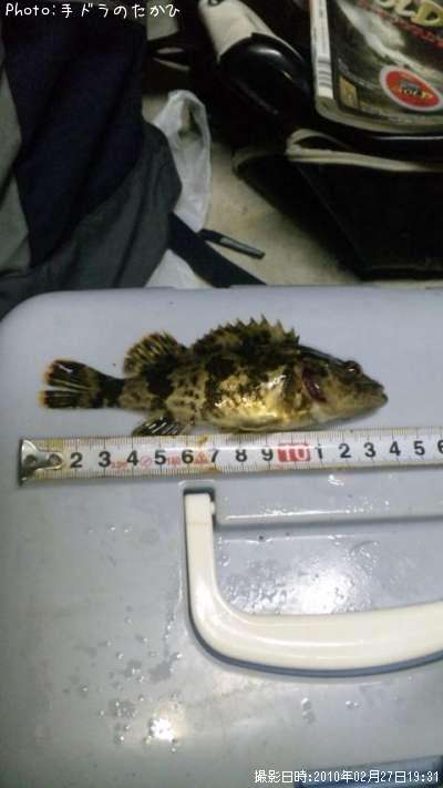 �����Υ���Х�