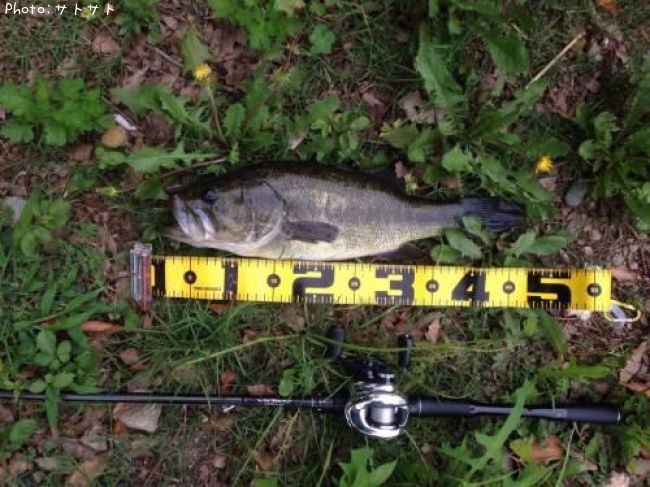 �֥�å��Х�