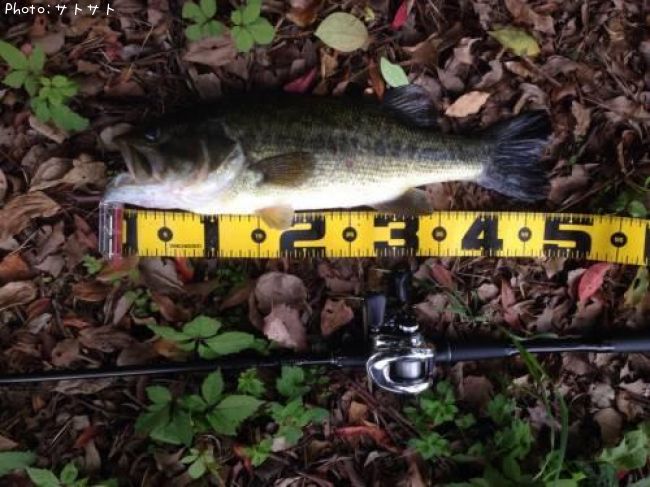 �֥�å��Х�