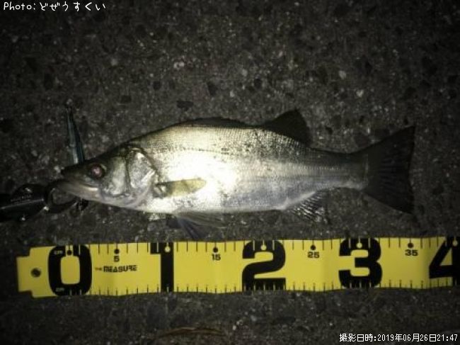 �����Х��ʥҥ饻������