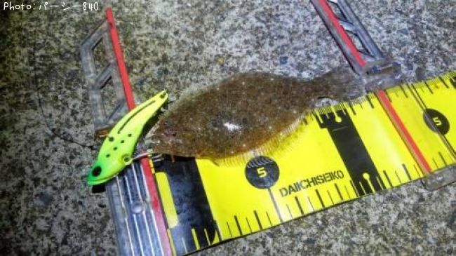 �ҥ��ʥ�����