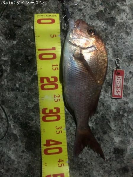 �ޥ���