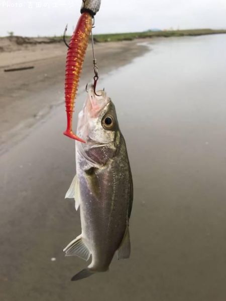 �����Х�