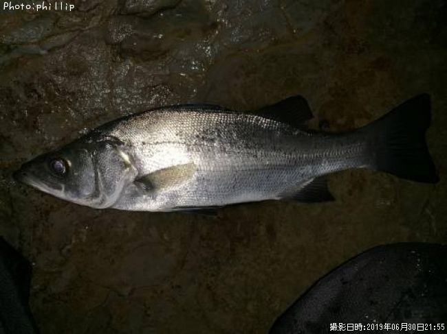 �ҥ饻����