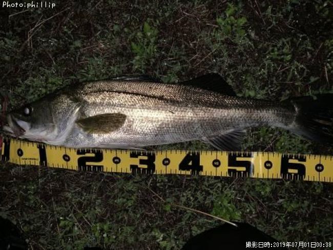 �����Х�