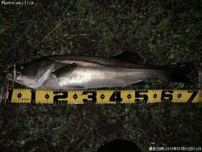 �����Х�