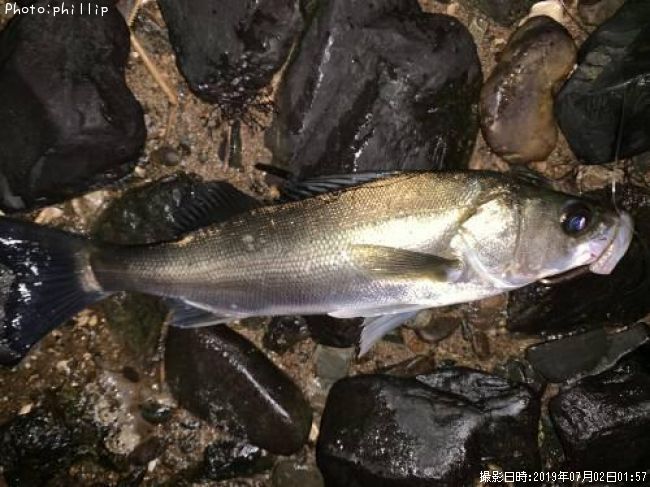 �����Х�