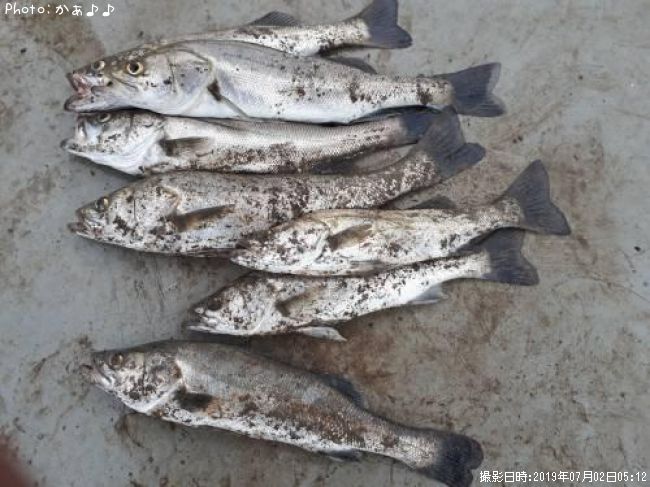 �����Х�