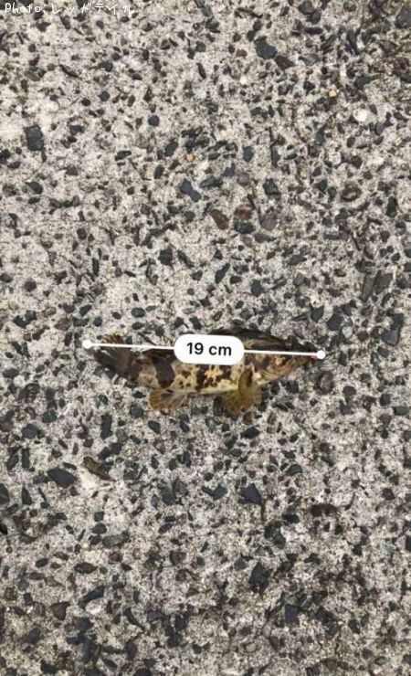 �����Υ���Х�