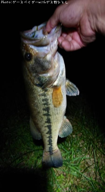 �֥�å��Х�