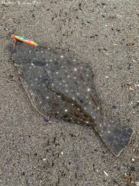 �ҥ��ʥ�����