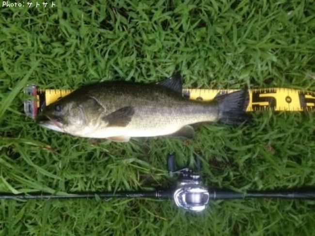 �֥�å��Х�