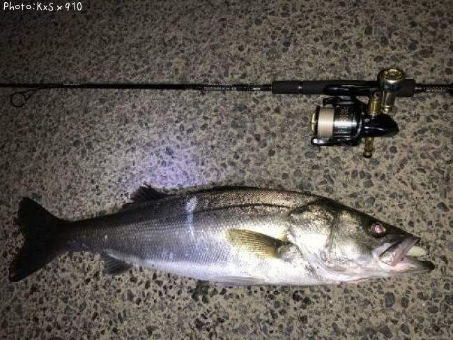 �����Х�