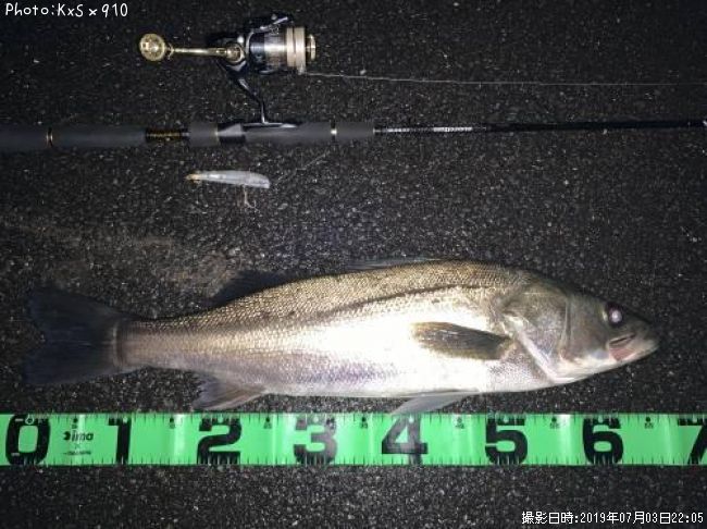 �����Х�