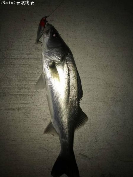 �����Х�