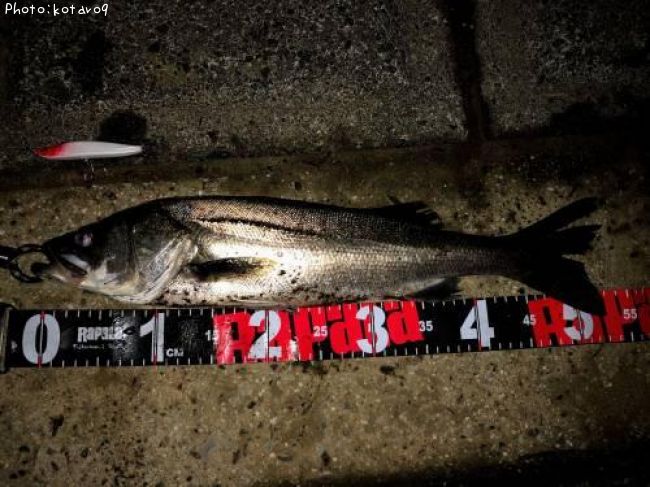 �����Х�