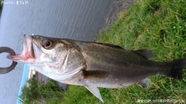 �����Х�