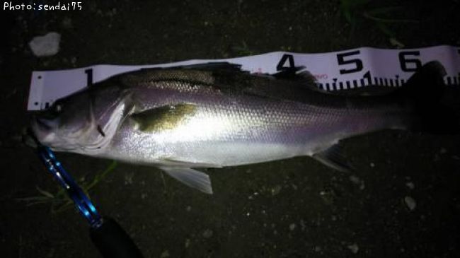 �����Х�