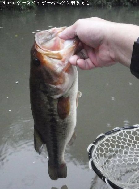 �֥�å��Х�