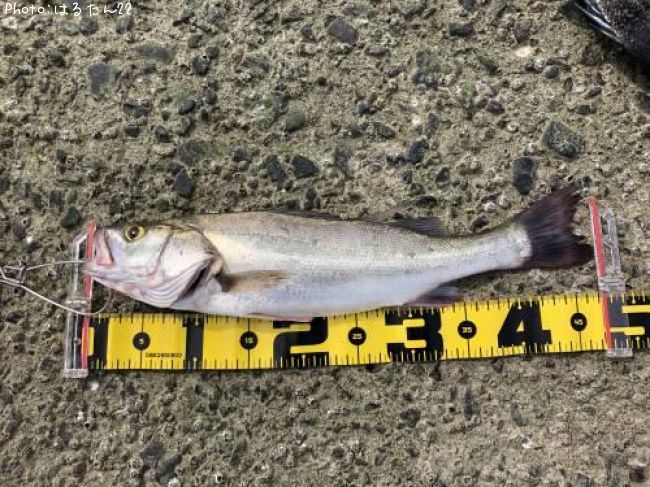 �����Х�