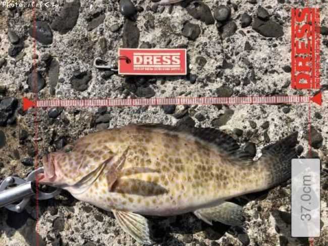 �������ϥ�