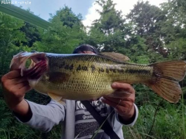 �֥�å��Х�