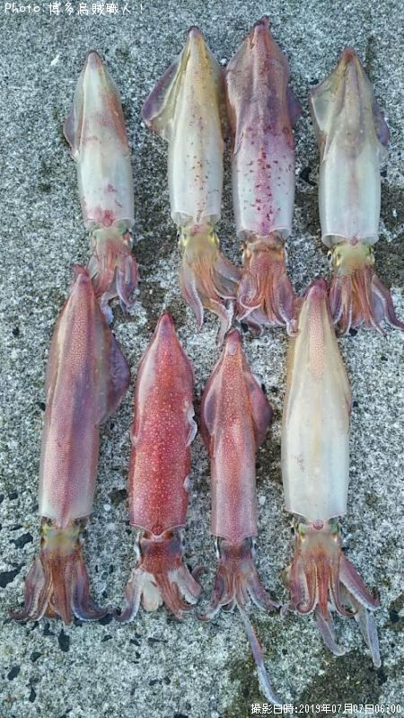 ���󥵥�����