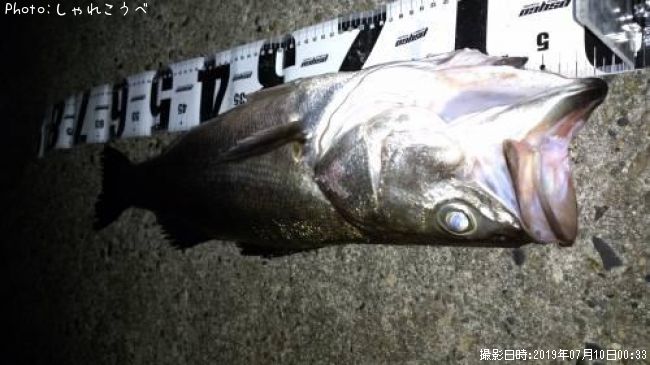 �����Х�