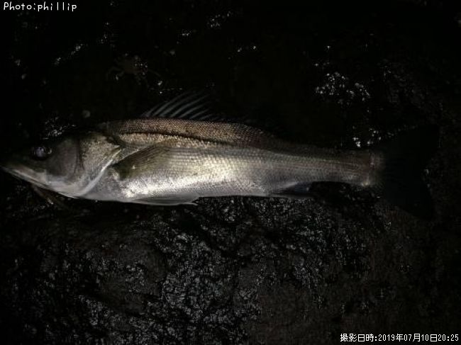 �����Х�