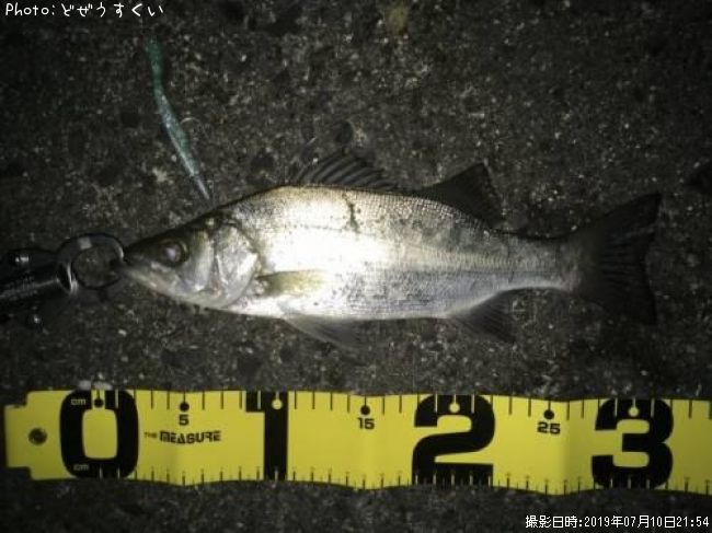 �����Х��ʥҥ饻������