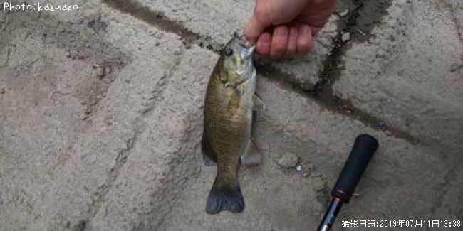 �֥�å��Х�