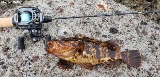 �����Υ���Х�