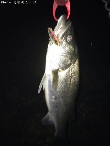 �����Х�