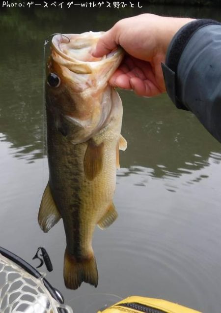 �֥�å��Х�