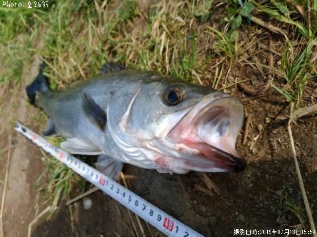 �����Х�