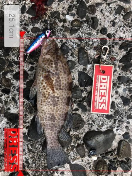 �������ϥ�