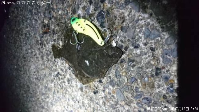 ���쥤���ҥ������勵�ꥬ��