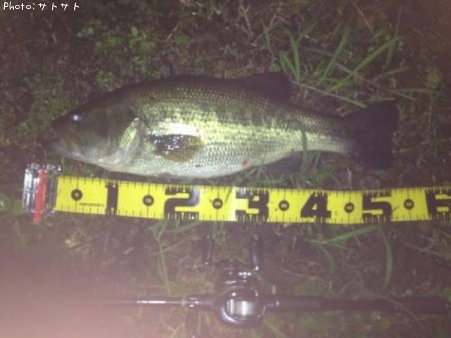 �֥�å��Х�