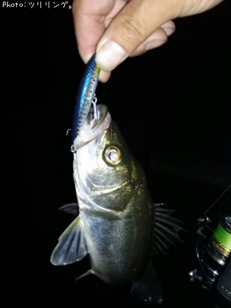 �����Х�